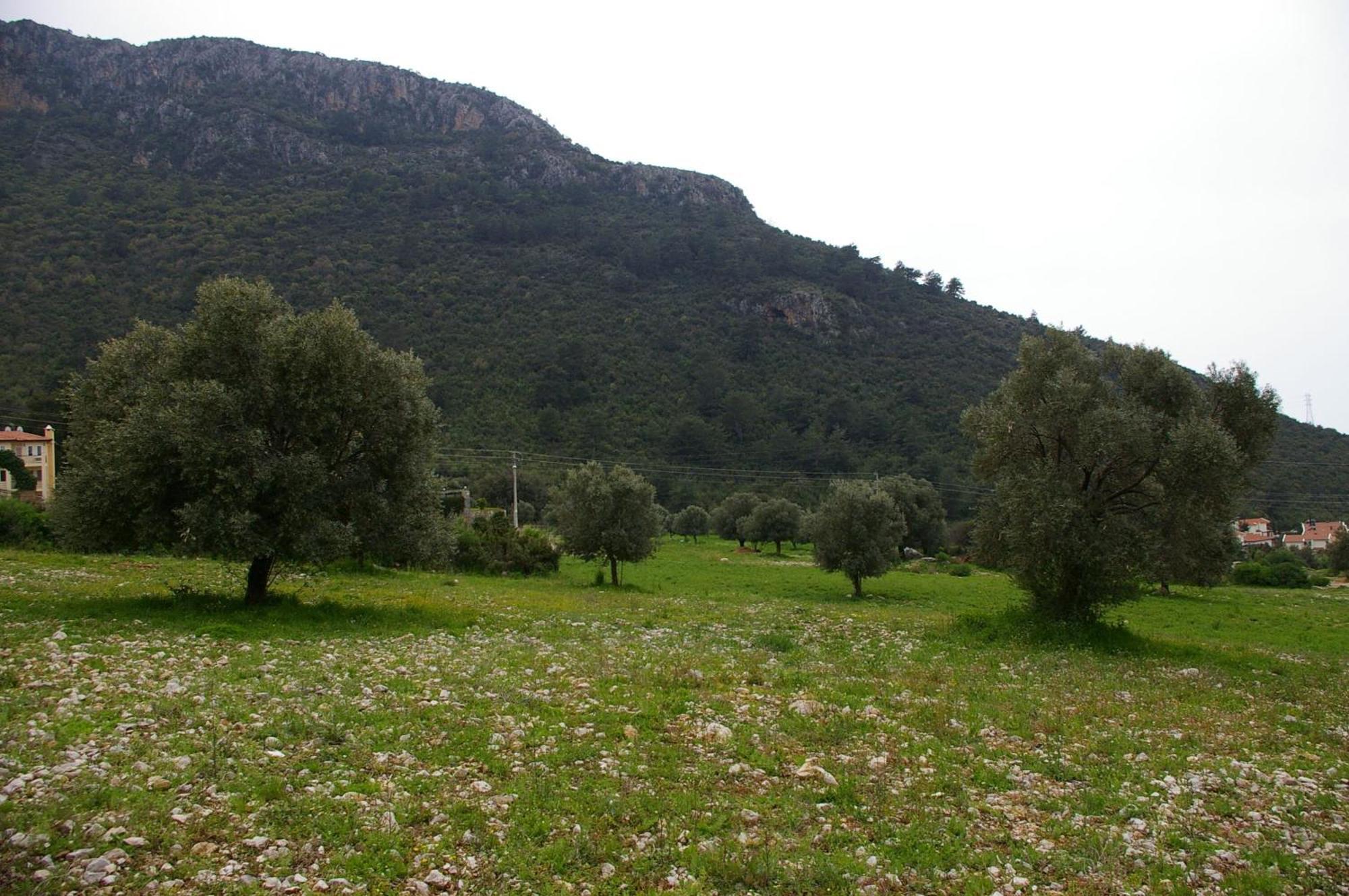 Villa Oludeniz Heights *