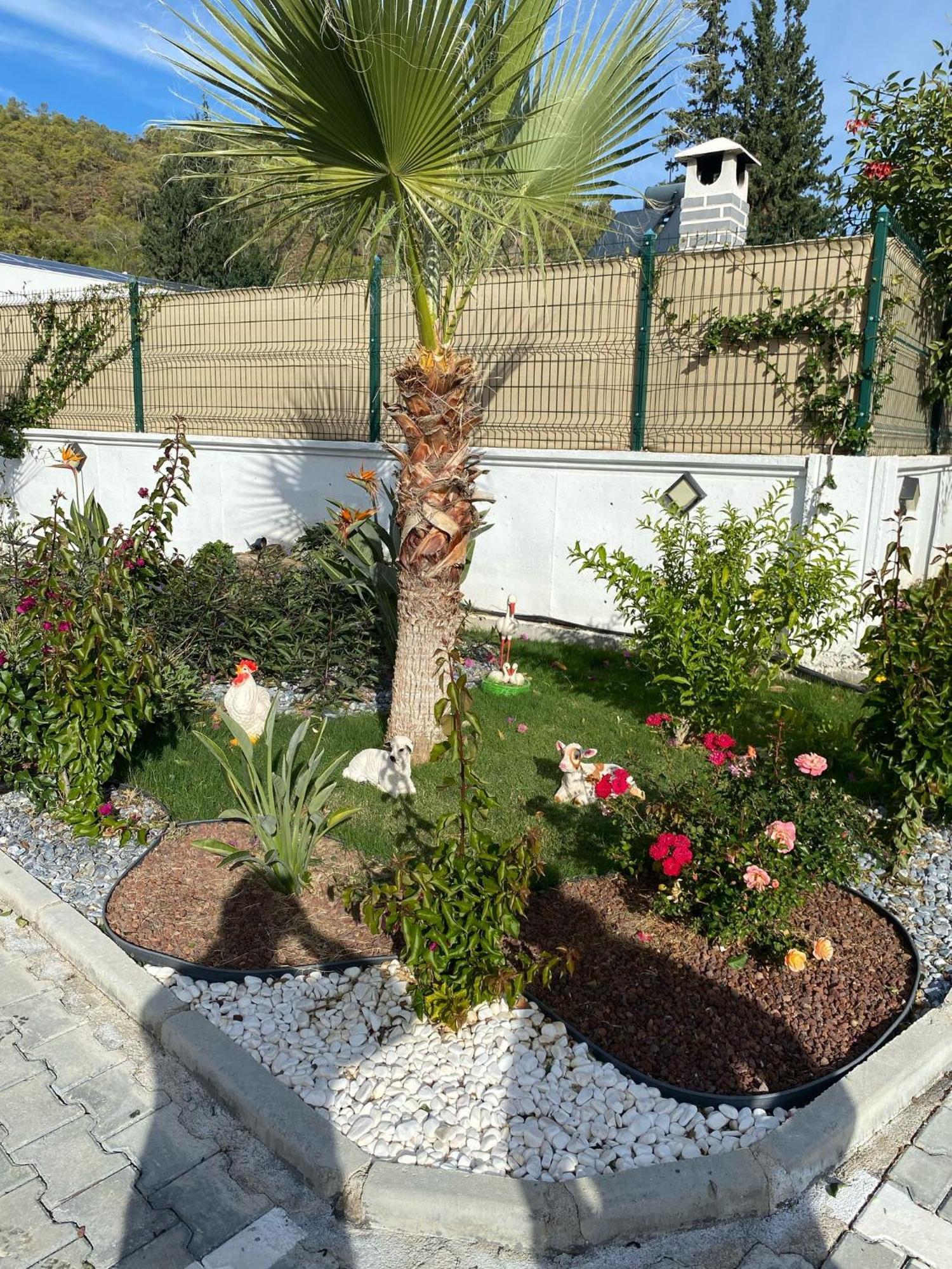 Talia Villalari Villa Fethiye
