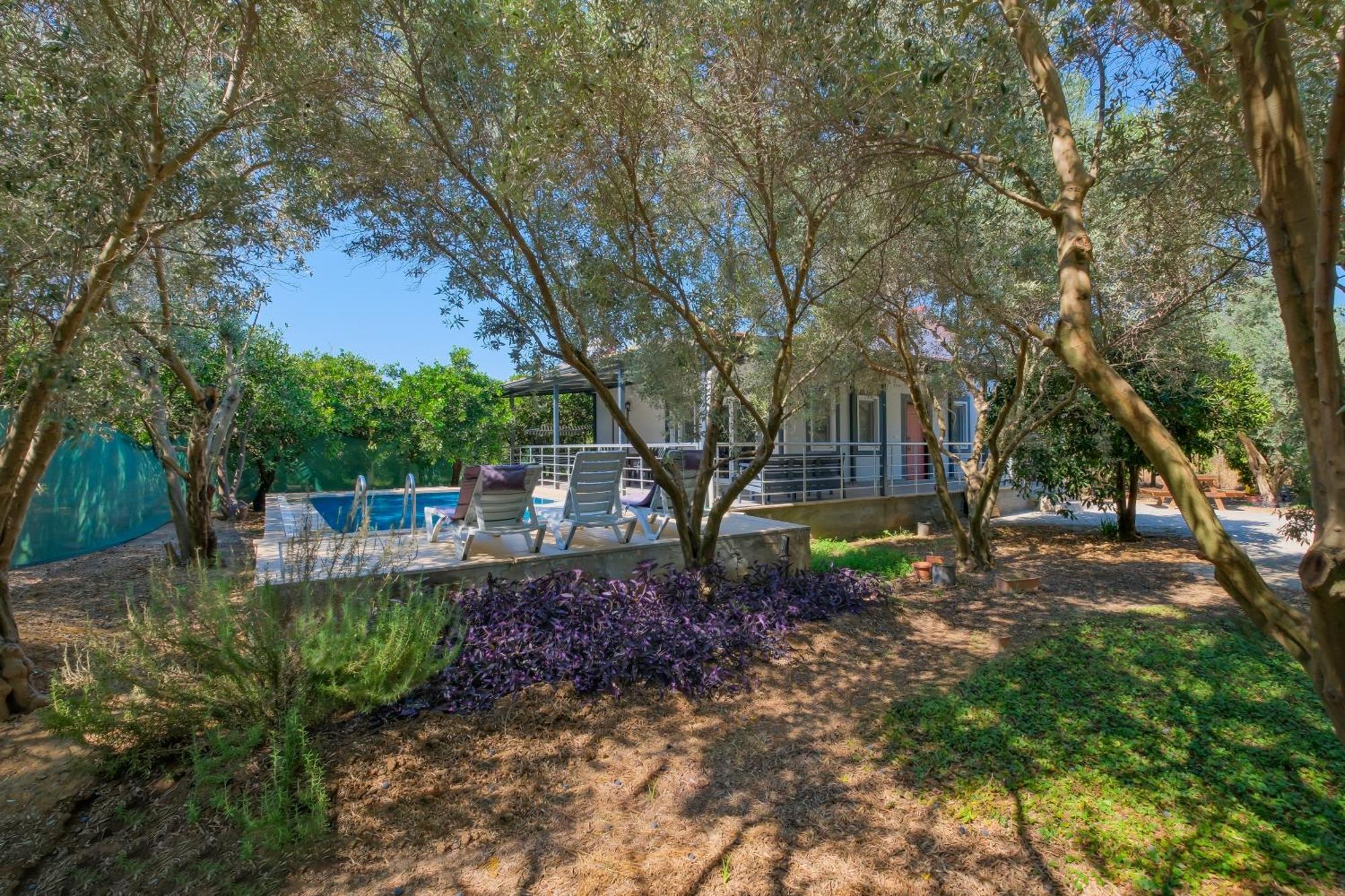 Avci Villa-fethiye 3+1 In Garden With Private Pool, 10 Minutes To The Beach Villa *