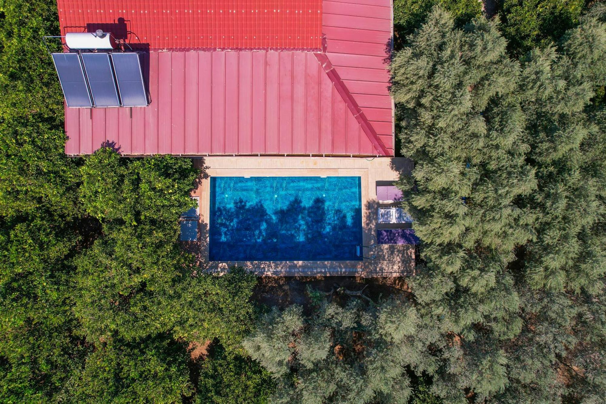 Avci Villa-fethiye 3+1 In Garden With Private Pool, 10 Minutes To The Beach Villa Fethiye