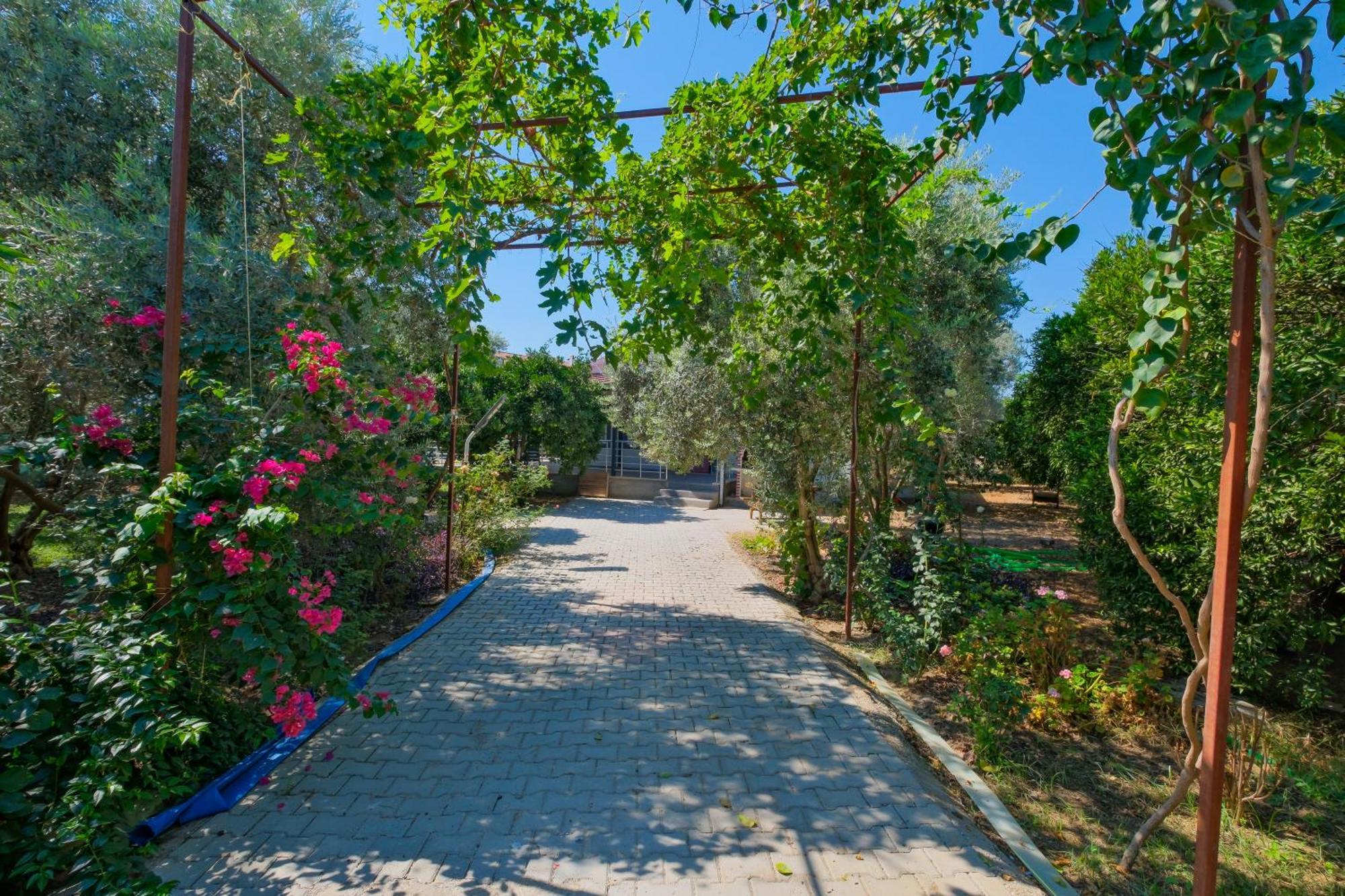 Avci Villa-fethiye 3+1 In Garden With Private Pool, 10 Minutes To The Beach Villa *