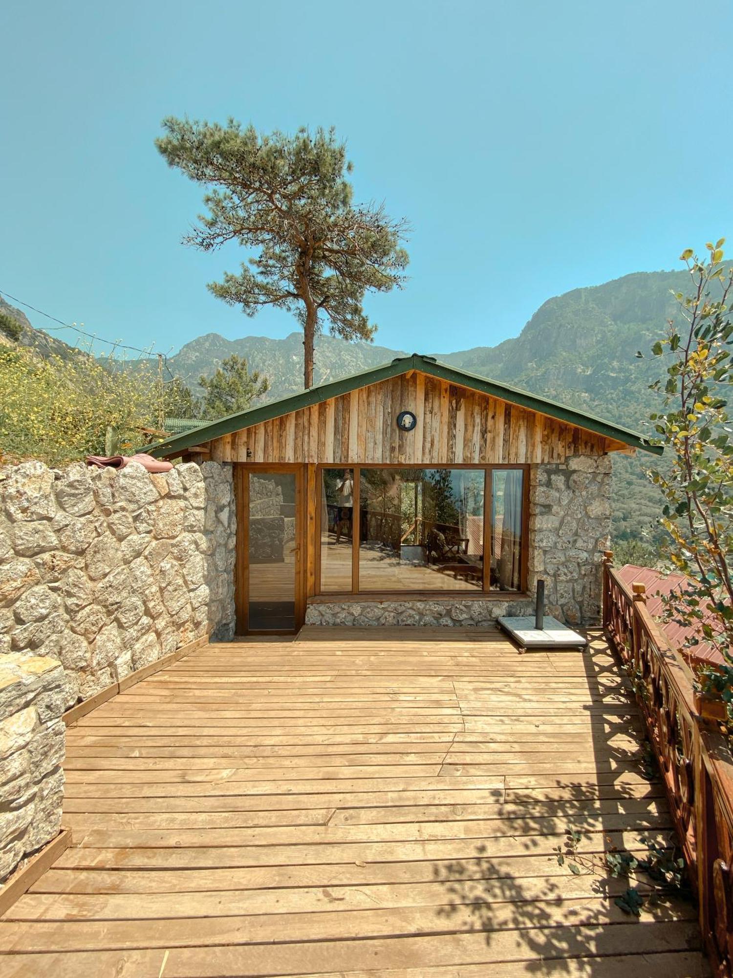 11-11shambala Guest house