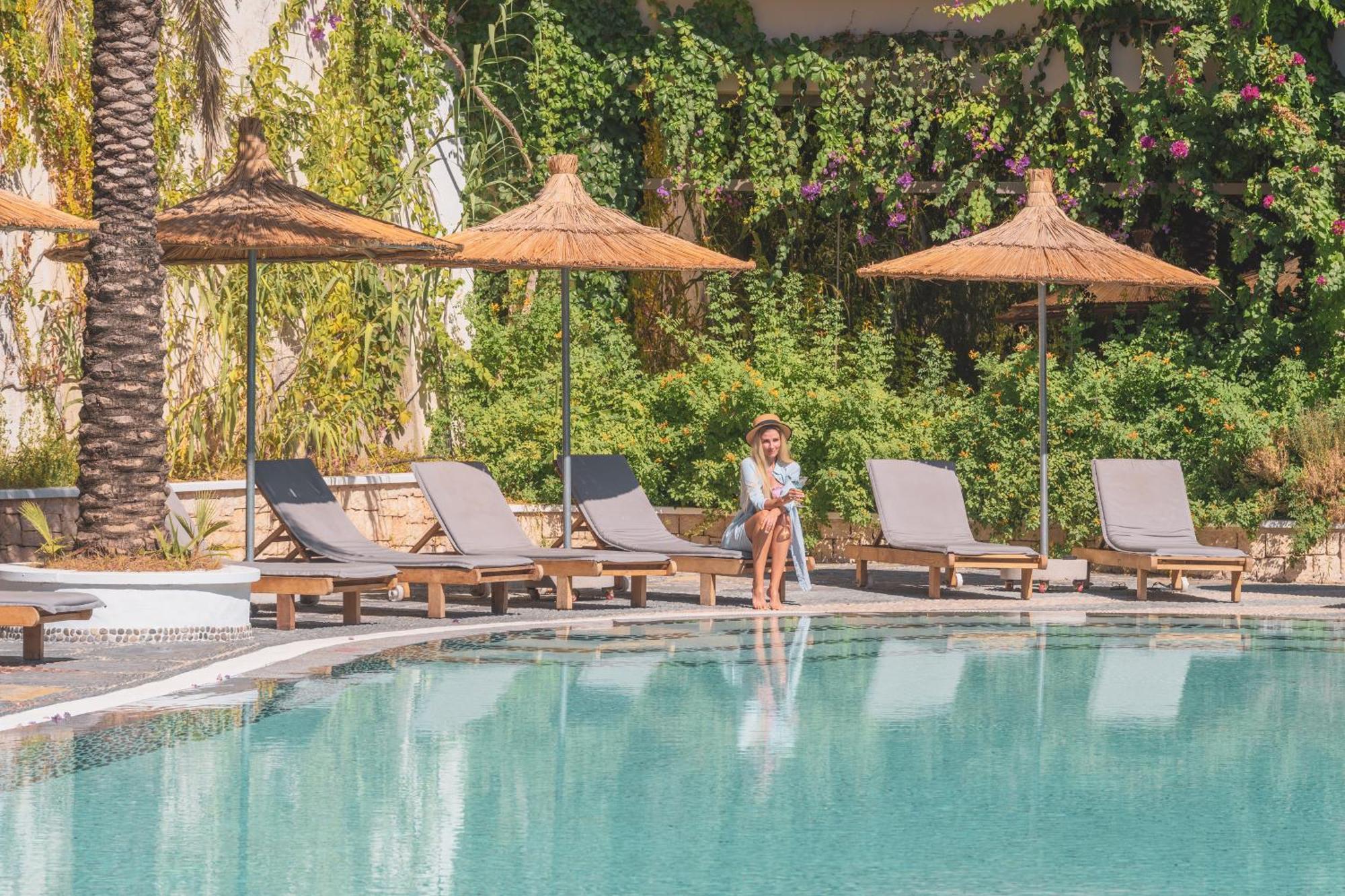 Flamingo Luxury-pet Friendly