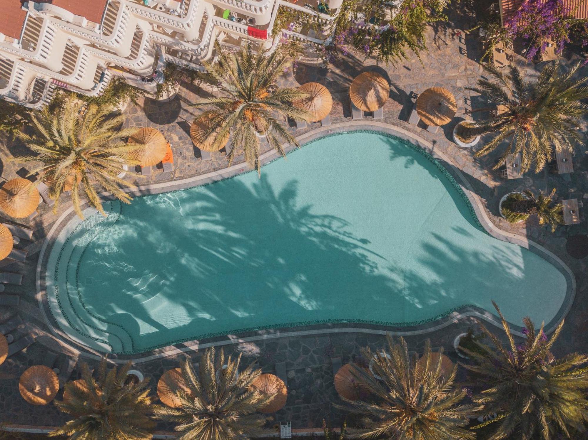 Flamingo Luxury-pet Friendly