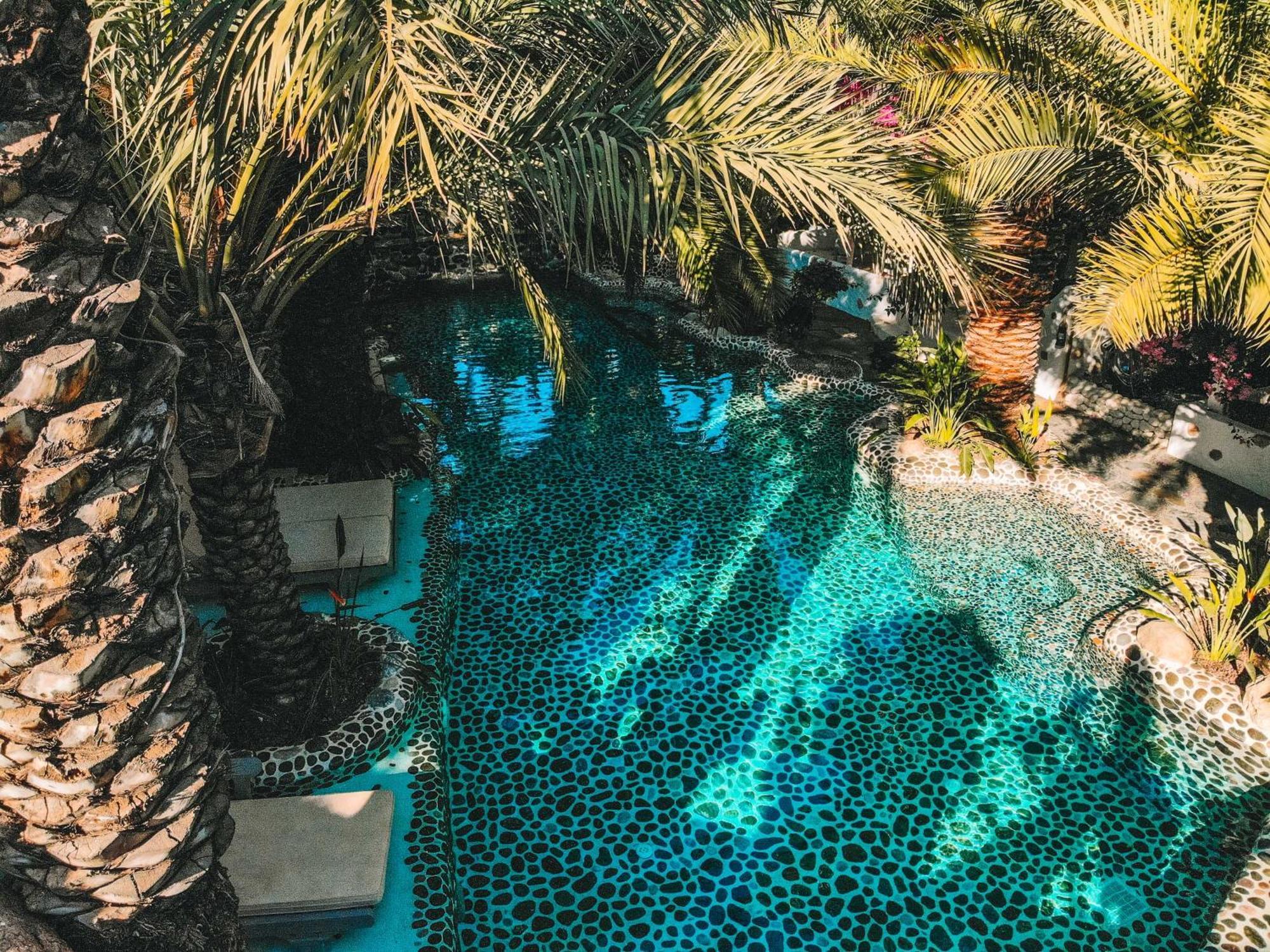 Hotel Flamingo Luxury-pet Friendly *
