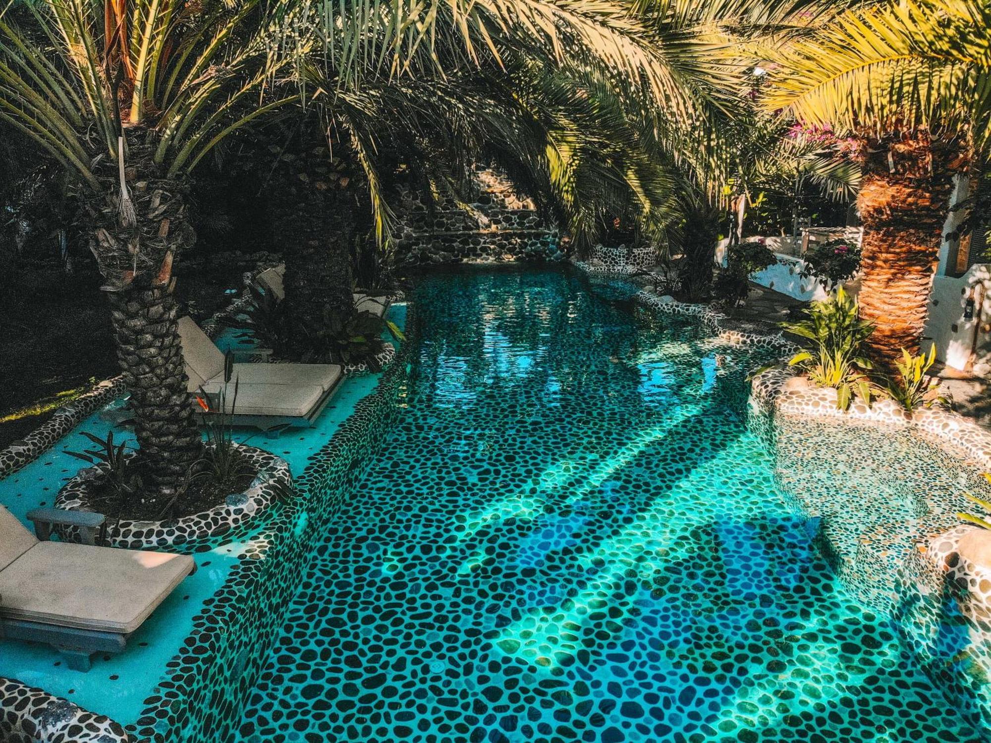 Hotel Flamingo Luxury-pet Friendly *