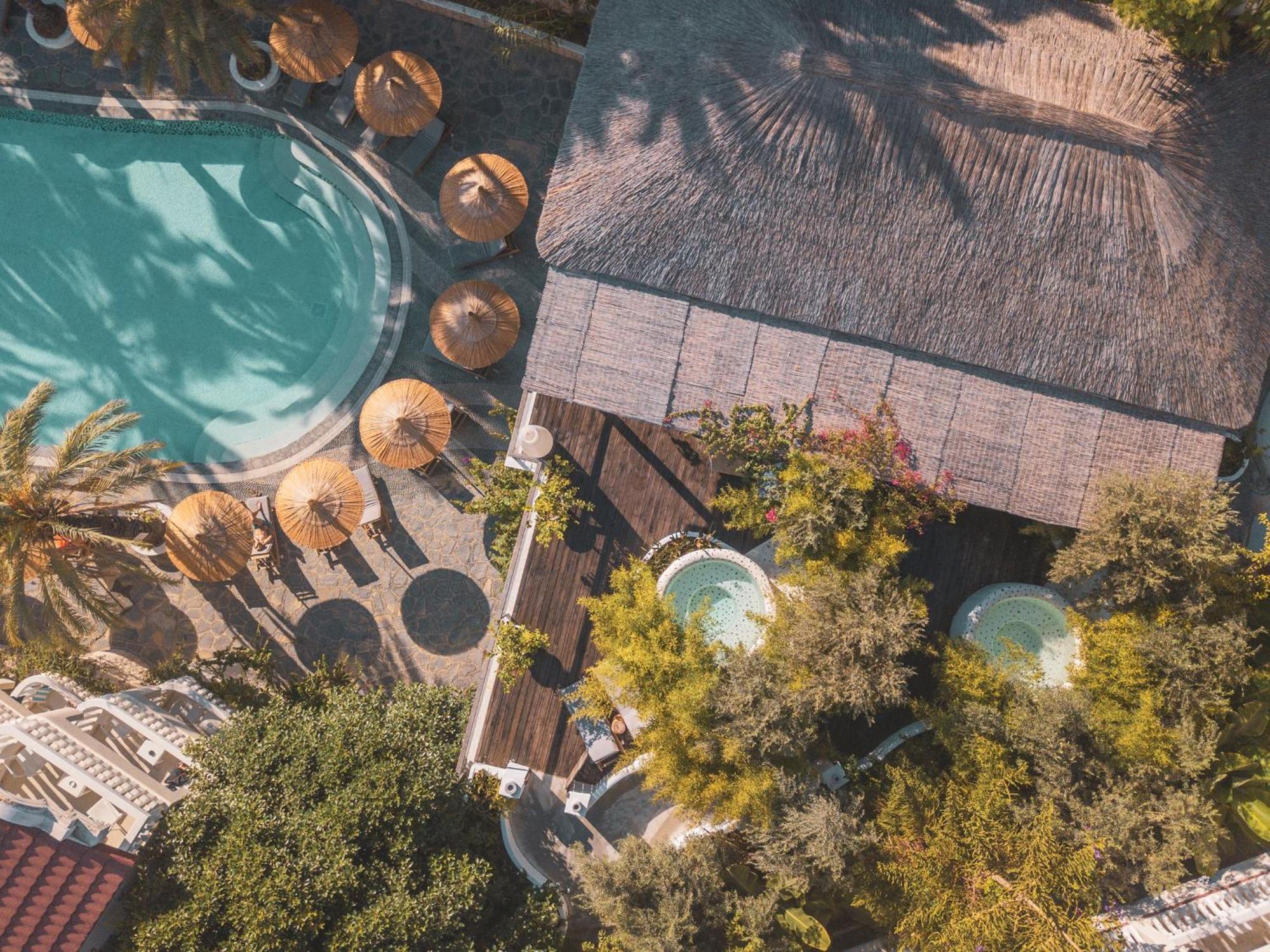 Flamingo Luxury-pet Friendly *