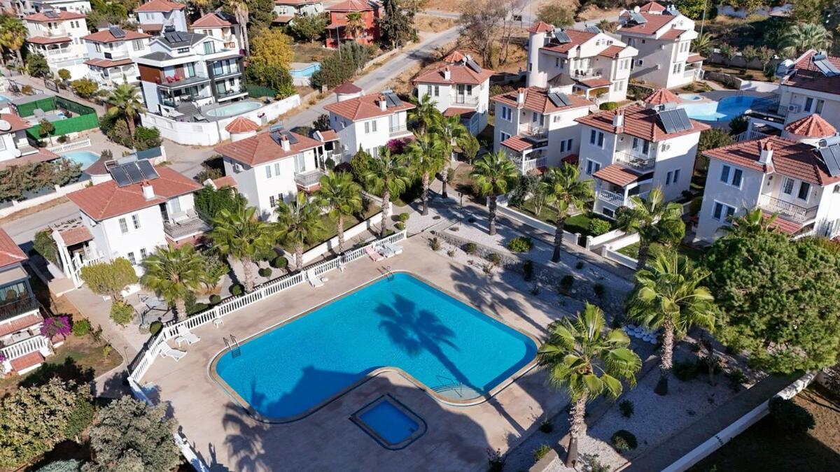 Begonvil, Oludeniz *