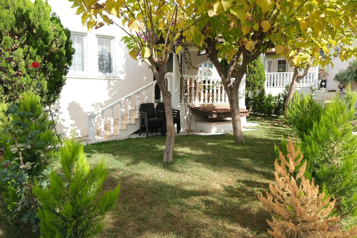 Begonvil, Oludeniz Fethiye