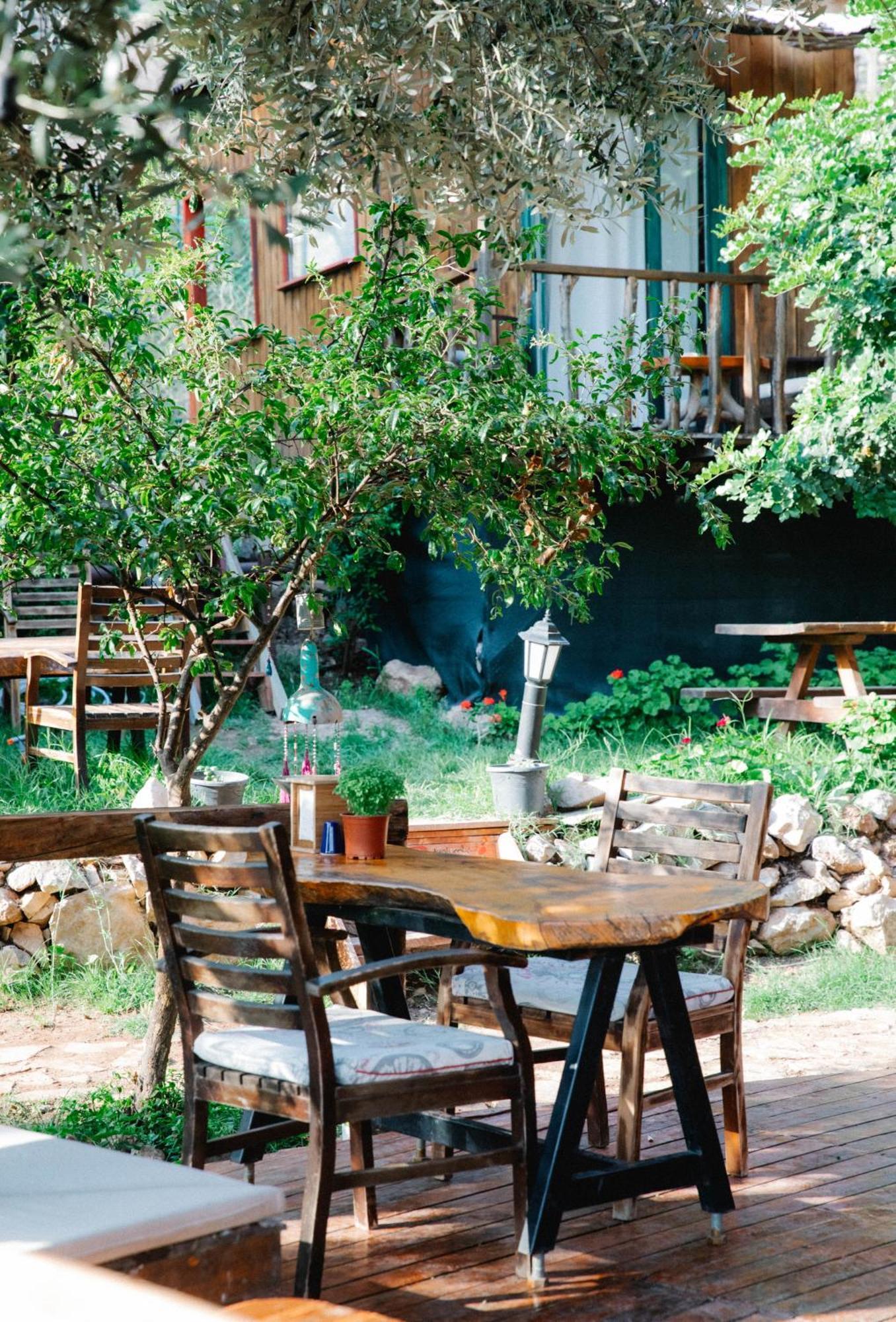 Kaplumbaga * Fethiye