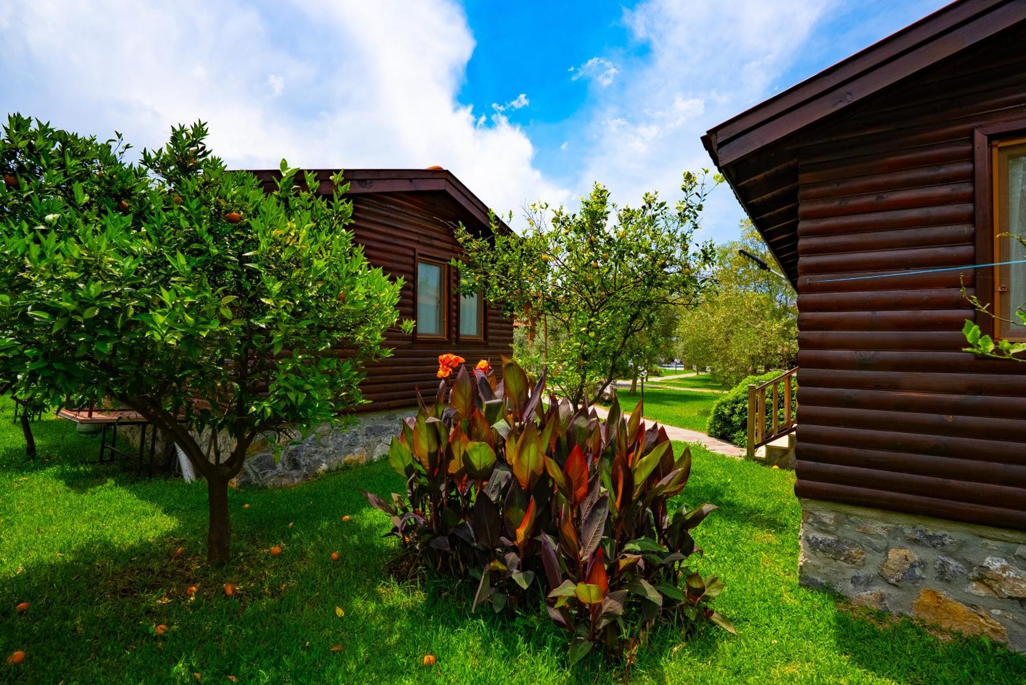 Holiday home Defne Olive Gardens, Koca Calis, - Previously Defne
