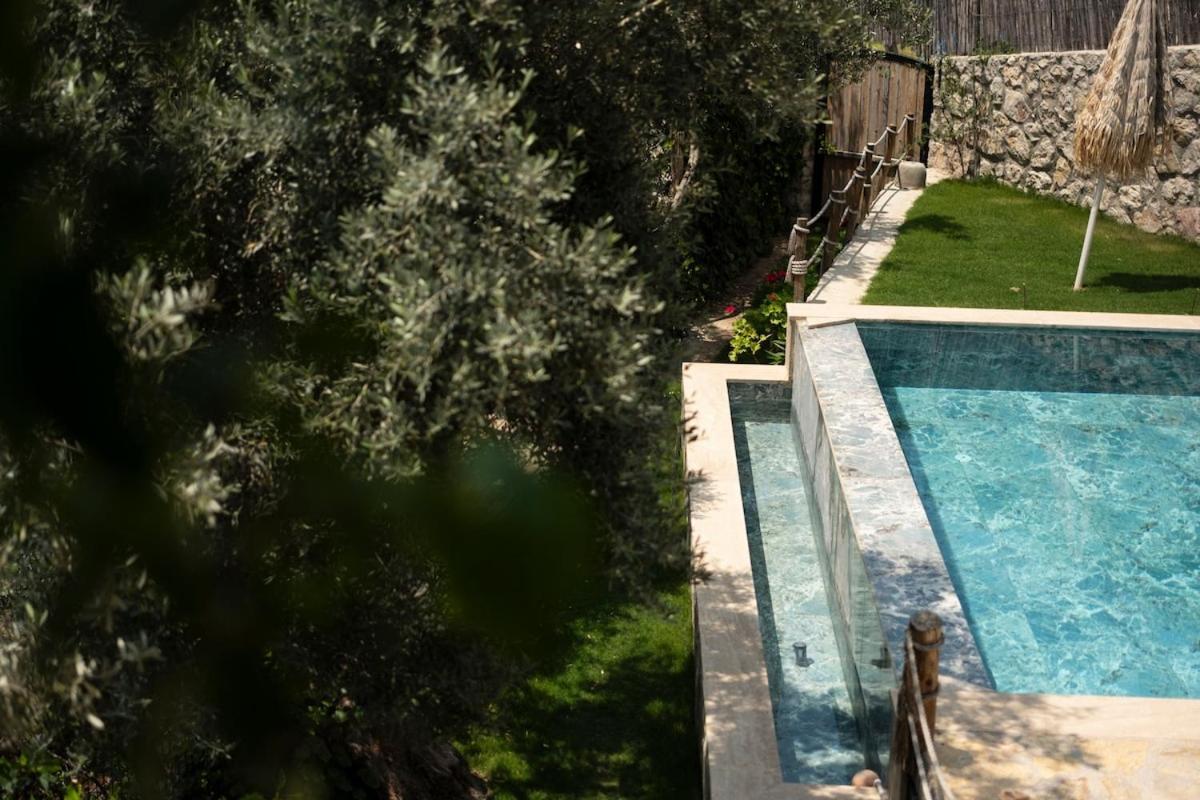 Stone House With Pool Among Olive Trees In Kabak Villa *
