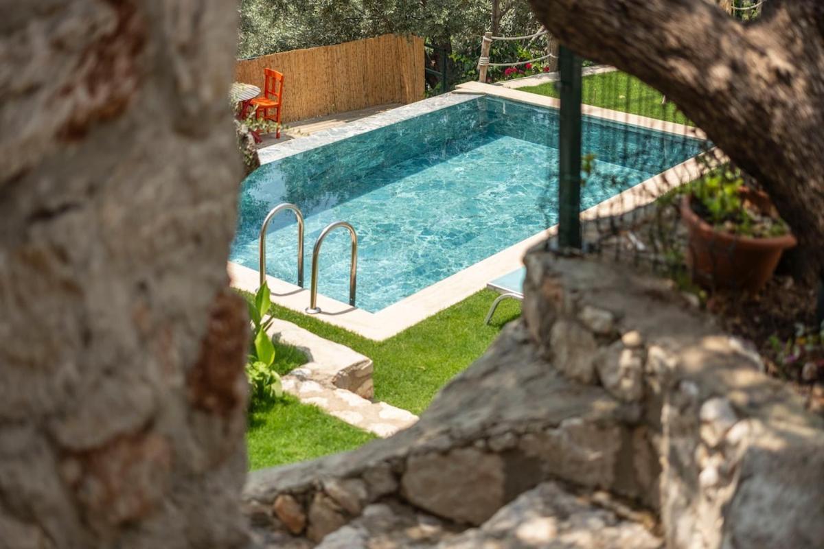 Stone House With Pool Among Olive Trees In Kabak Villa