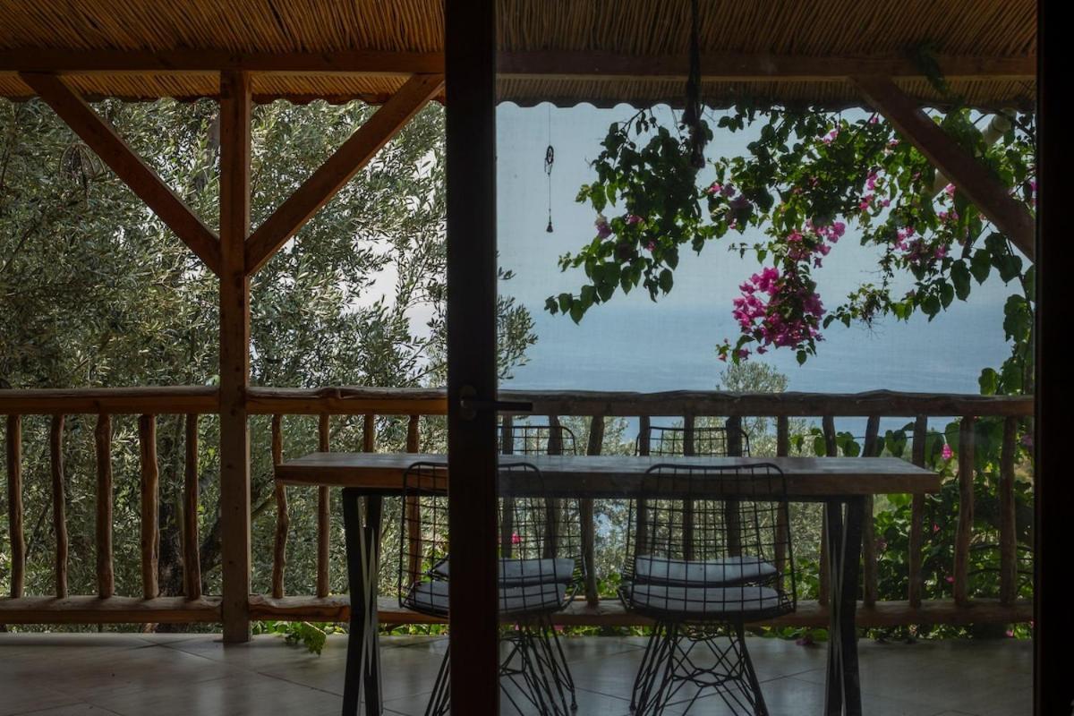 Stone House With Pool Among Olive Trees In Kabak *