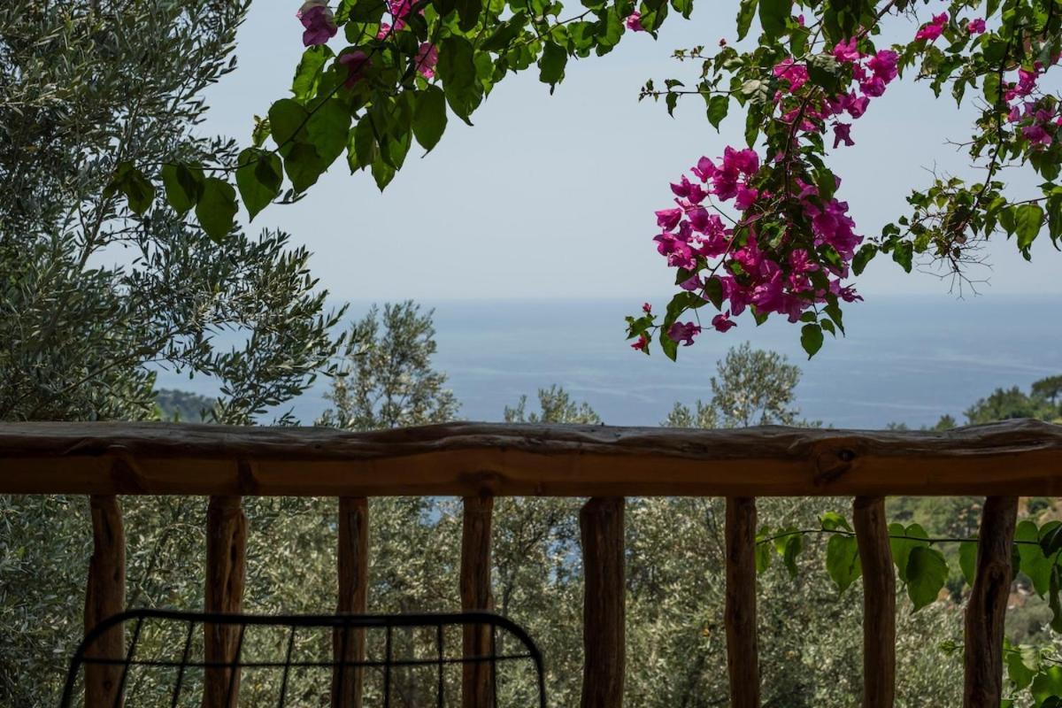 Stone House With Pool Among Olive Trees In Kabak Villa *