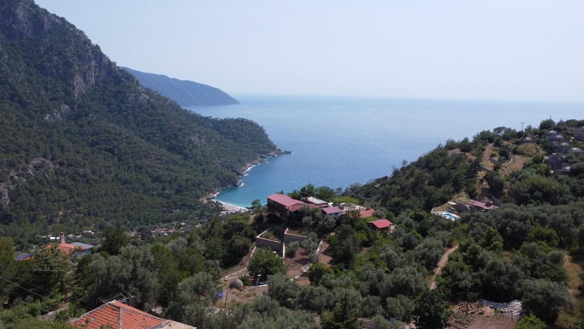 Stone House With Pool Among Olive Trees In Kabak * Fethiye