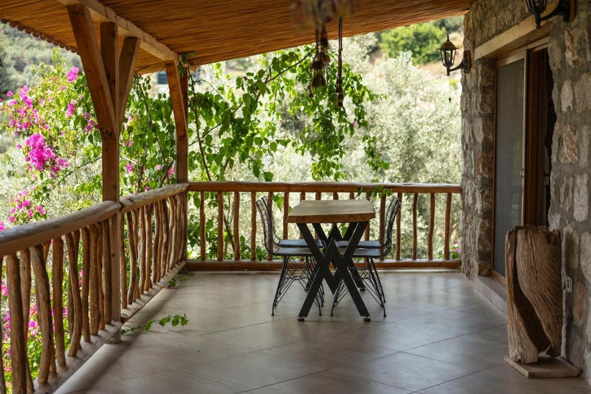 Stone House With Pool Among Olive Trees In Kabak