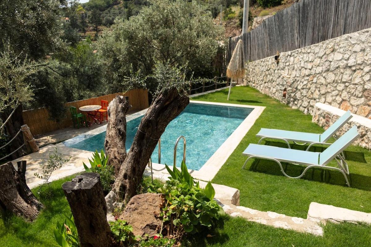 Stone House With Pool Among Olive Trees In Kabak *