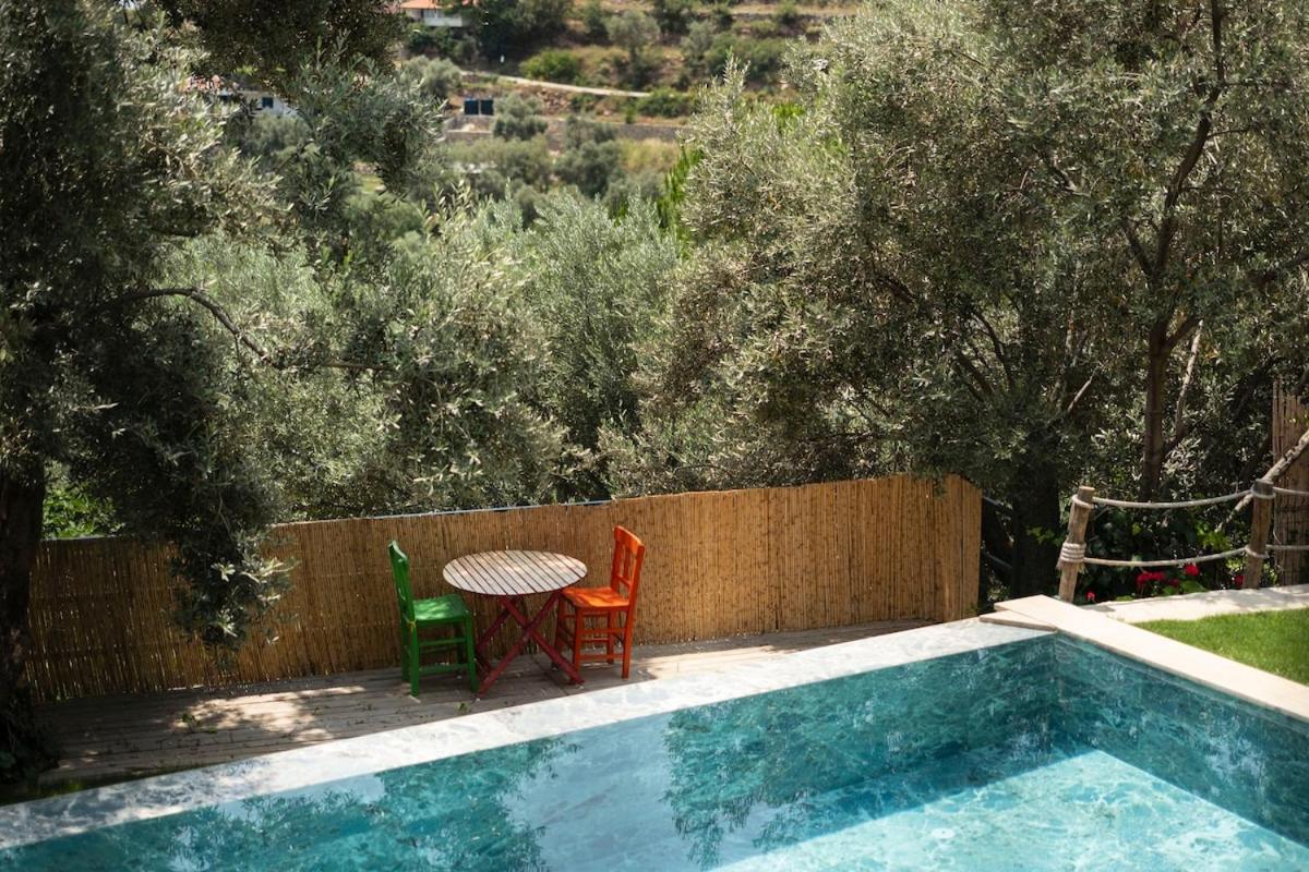 Stone House With Pool Among Olive Trees In Kabak Fethiye