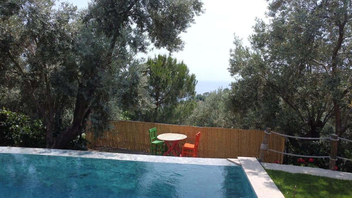 Stone House With Pool Among Olive Trees In Kabak Villa