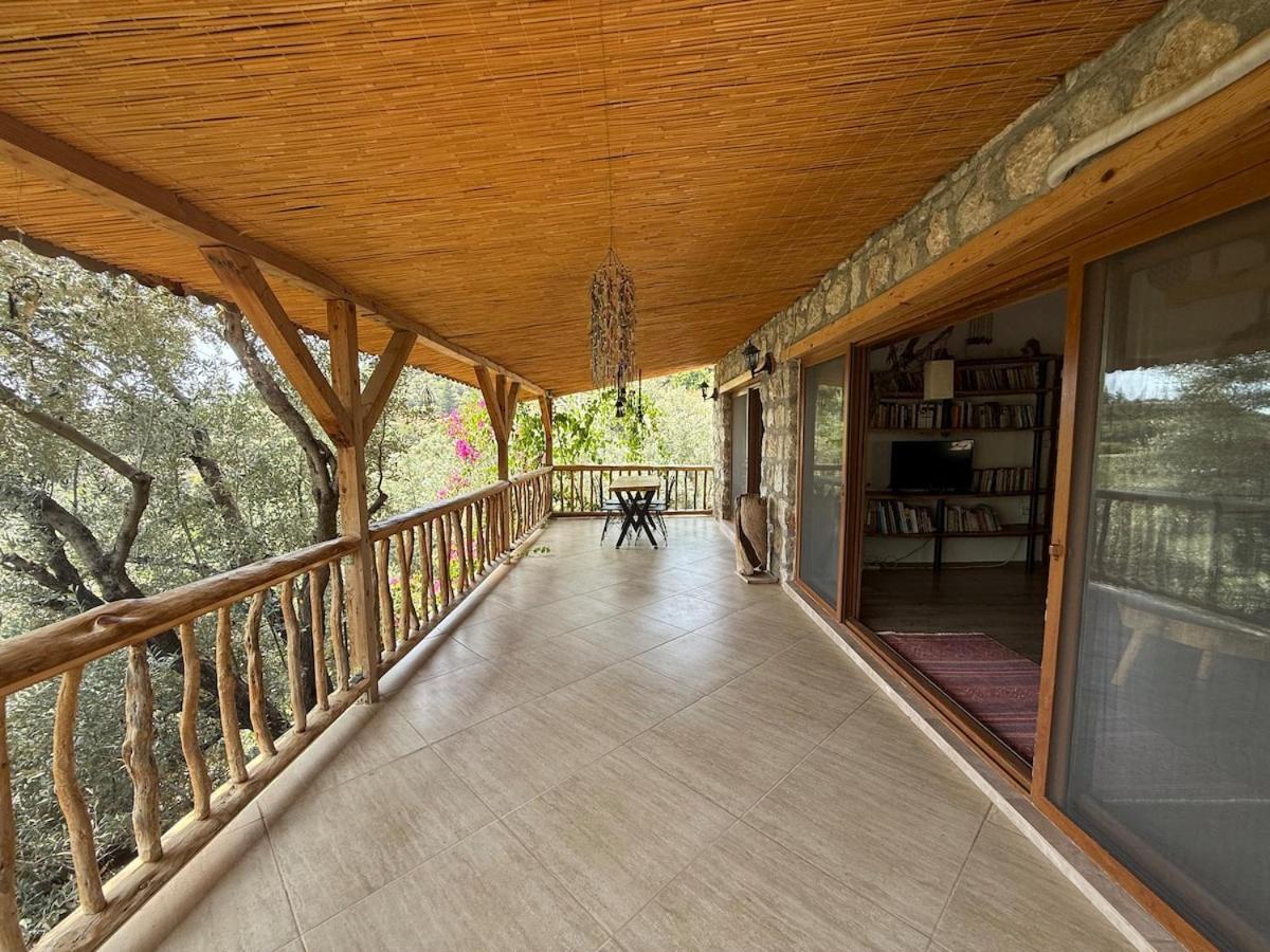 Villa Stone House With Pool Among Olive Trees In Kabak