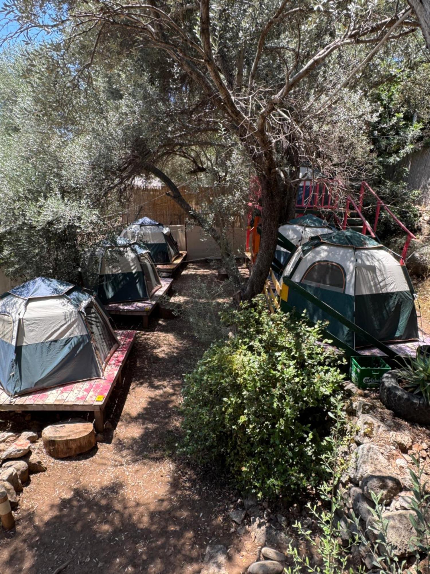 Luxury tent Lilith Pan
