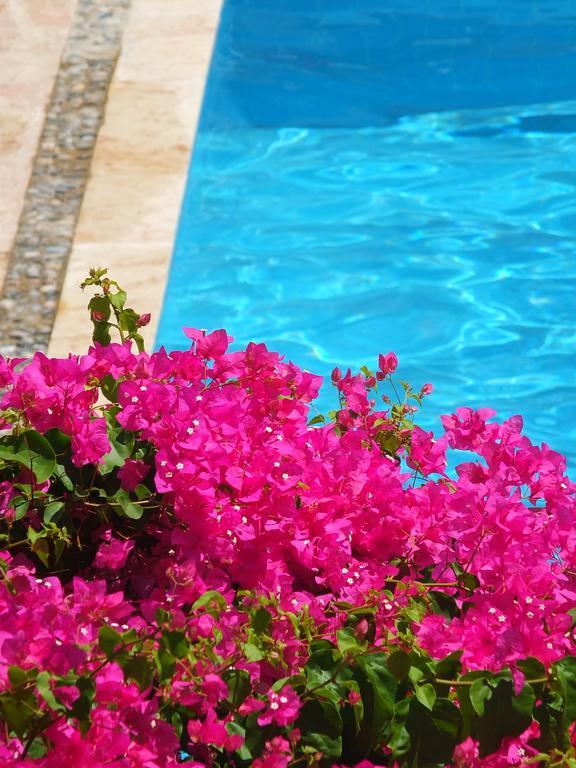 Bed & Breakfast Berk Fethiye