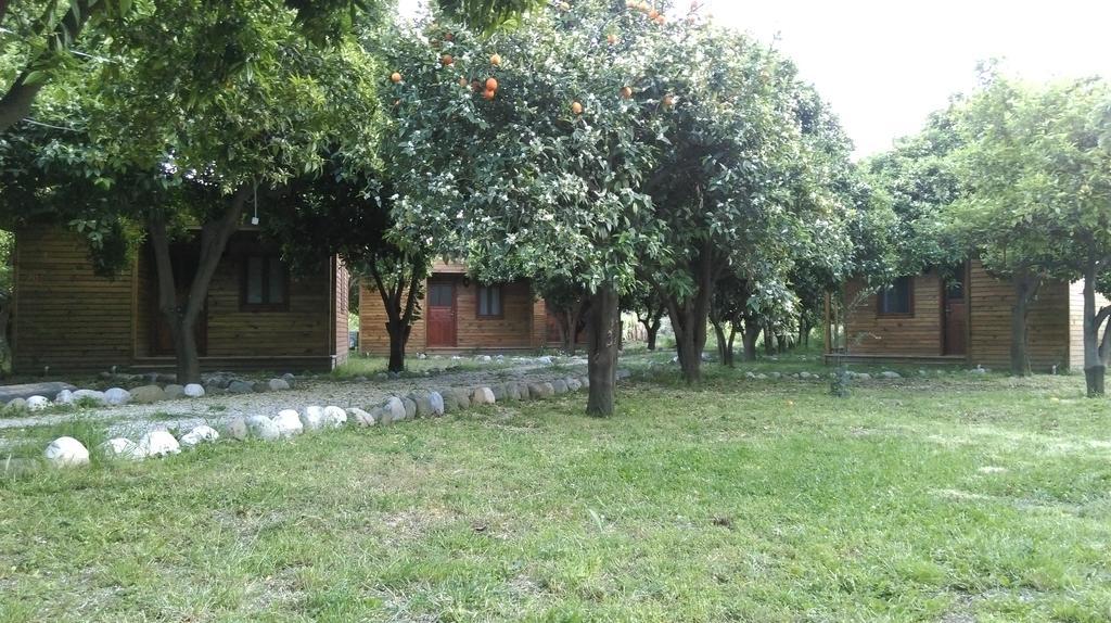 Yesil Bahce Bungalow - Ahsap Evler *