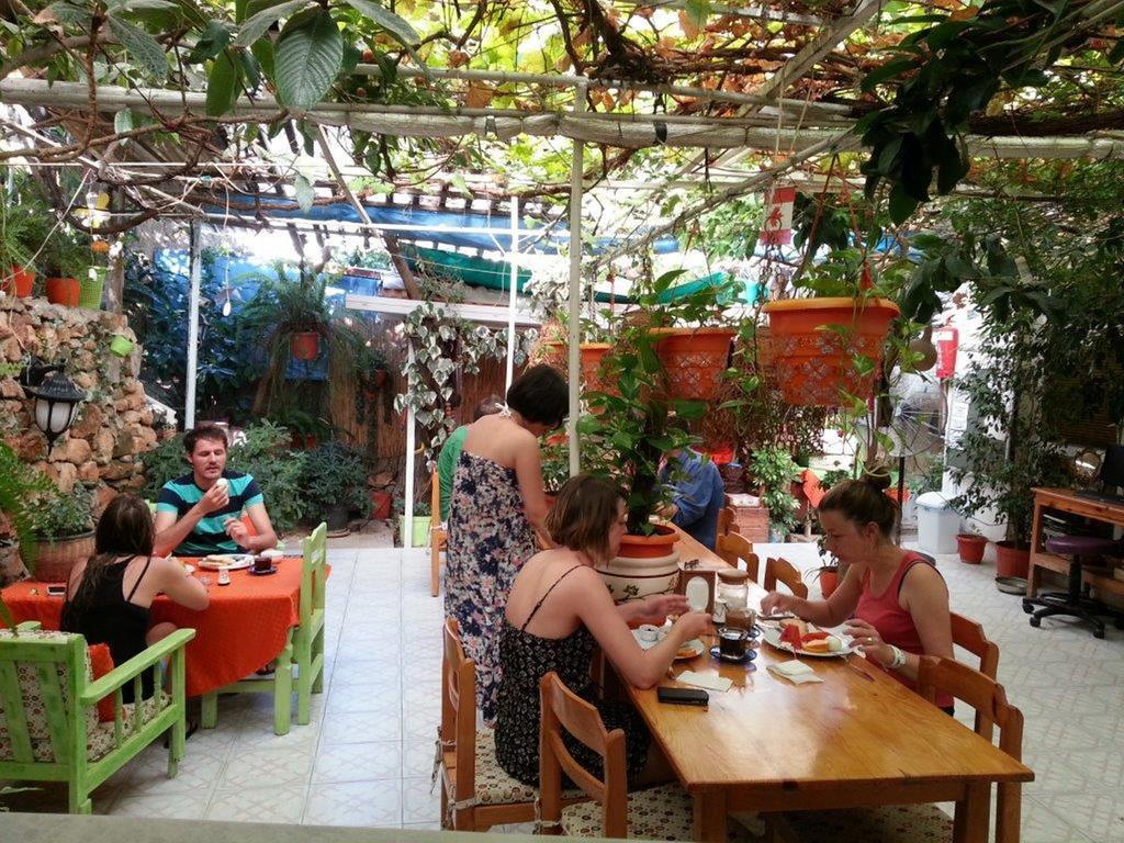 Ferah Monica's Place Hostel *