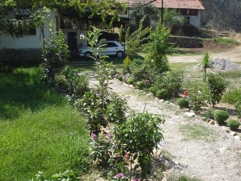 Farm stay Yesil Bahce Bungalow - Ahsap Evler *