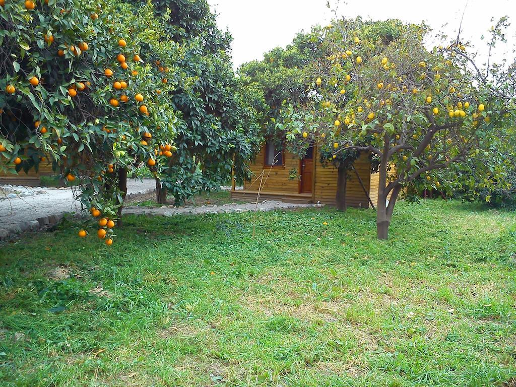 Farm stay Yesil Bahce Bungalow - Ahsap Evler