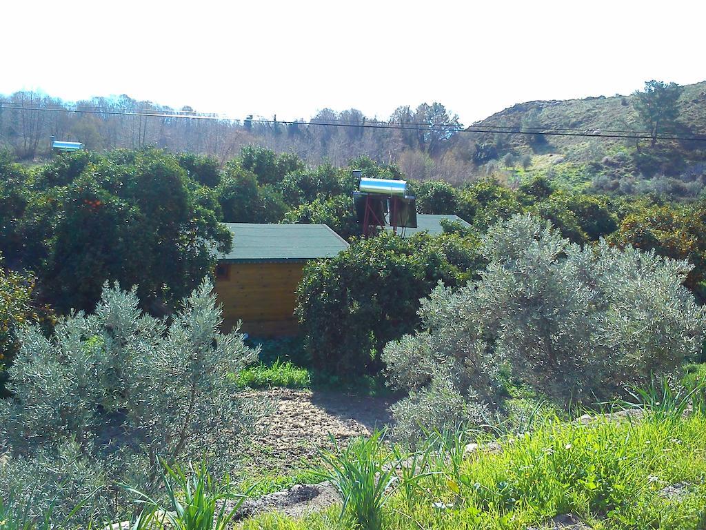 Farm stay Yesil Bahce Bungalow - Ahsap Evler