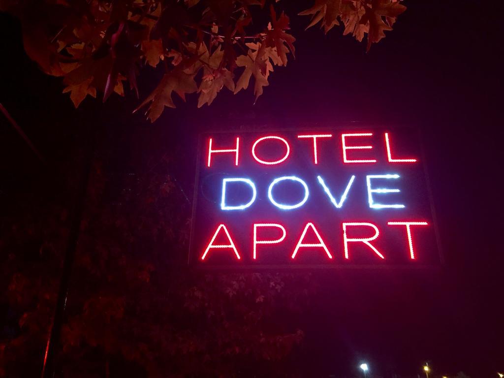 Dove