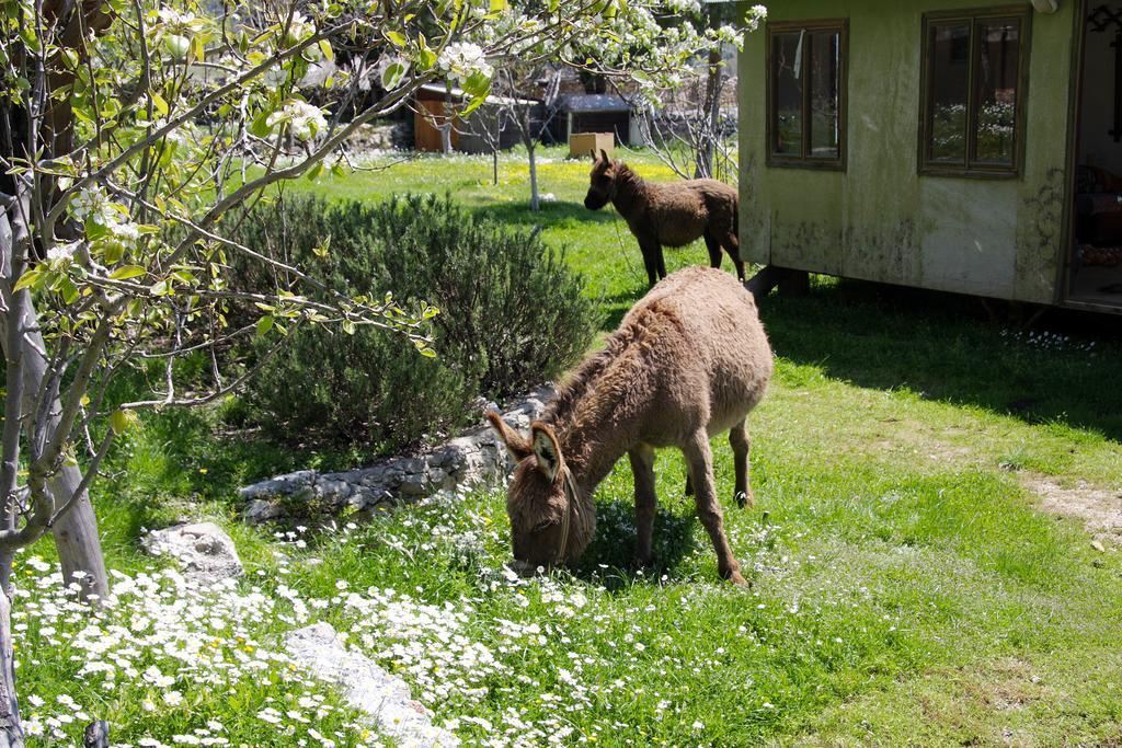 Blacktree Farm And Cottages