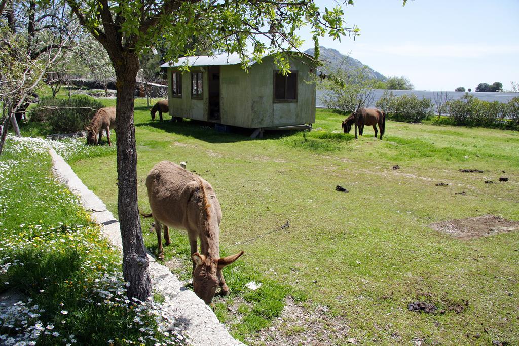 Blacktree Farm And Cottages