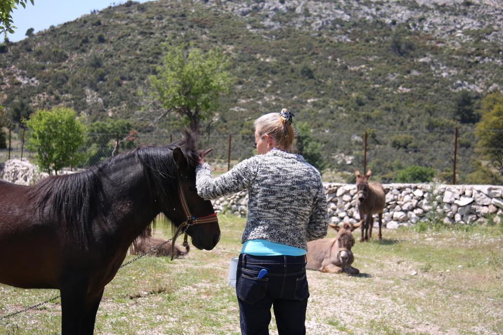 Landhuis Blacktree Farm And Cottages Fethiye