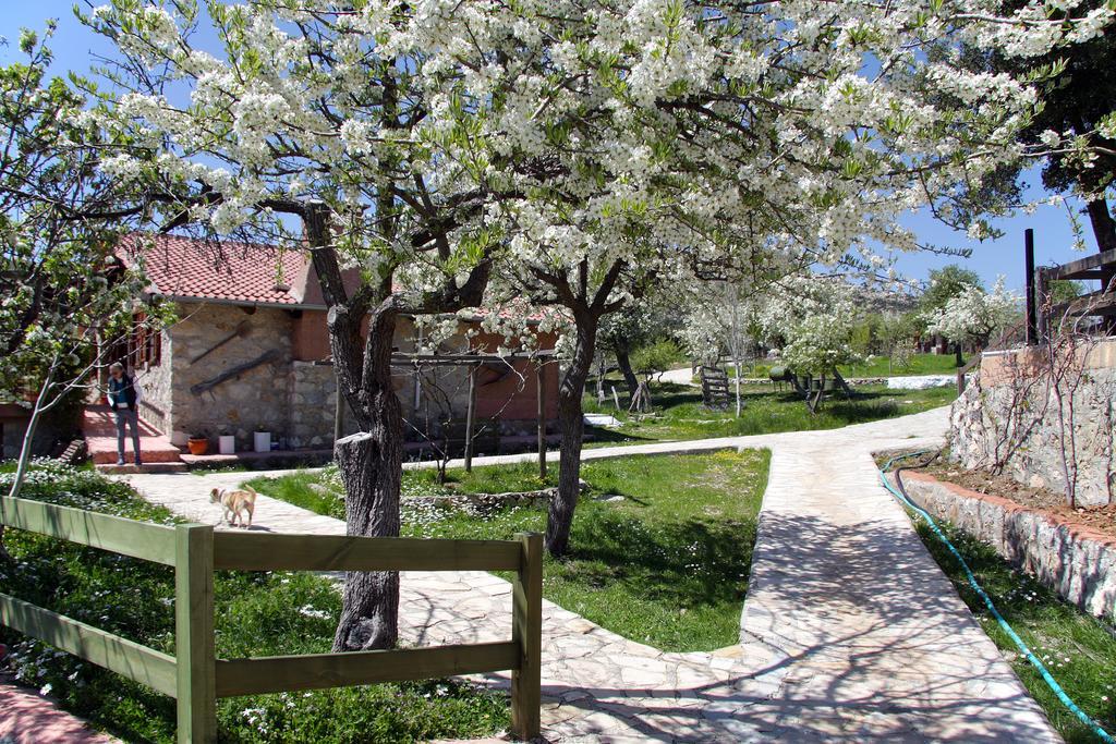 Country house Blacktree Farm And Cottages Fethiye