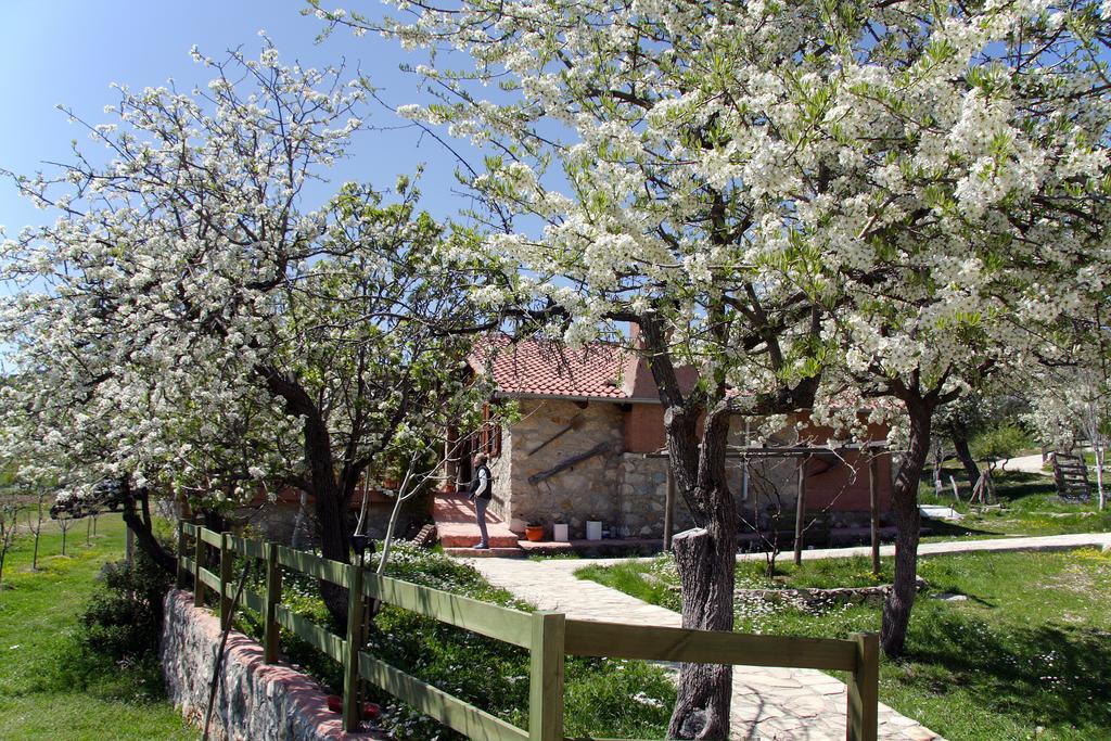 Country house Blacktree Farm And Cottages