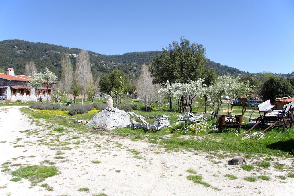 Blacktree Farm And Cottages Fethiye