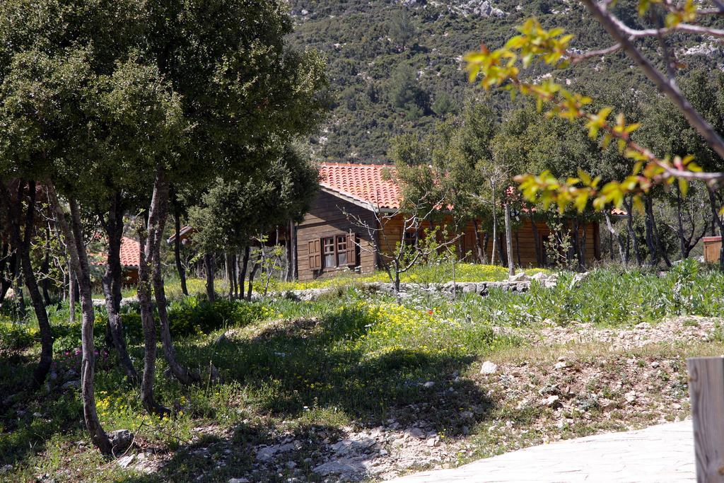 Blacktree Farm And Cottages Fethiye