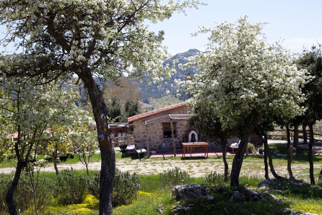 Country house Blacktree Farm And Cottages Fethiye