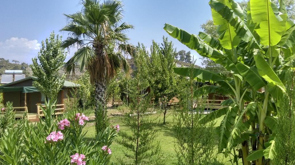 Farm stay Yesil Bahce Bungalow - Ahsap Evler