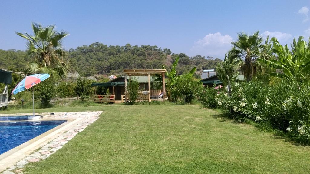 Farm stay Yesil Bahce Bungalow - Ahsap Evler *