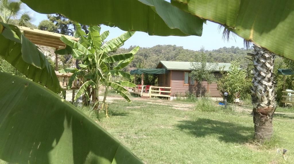 Farm stay Yesil Bahce Bungalow - Ahsap Evler Fethiye