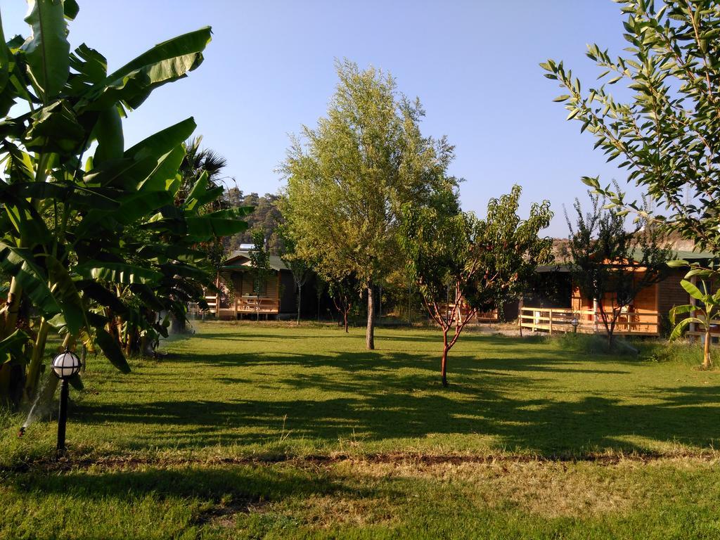 Farm stay Yesil Bahce Bungalow - Ahsap Evler *