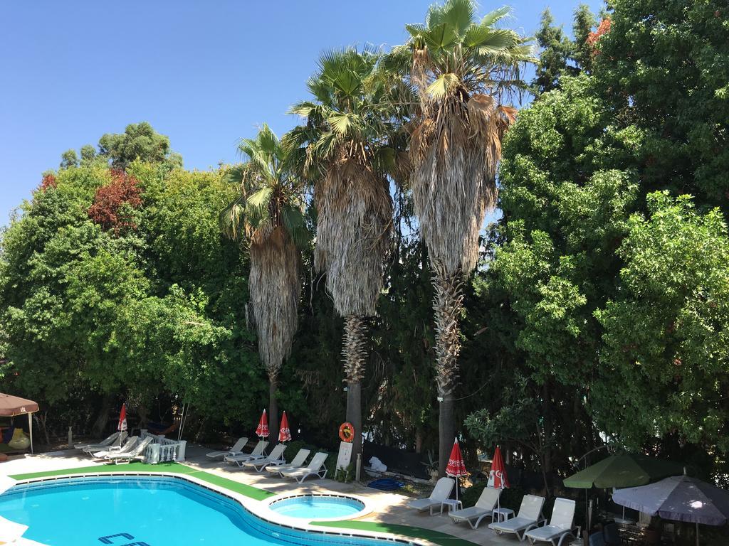 Cenk Bey Fethiye