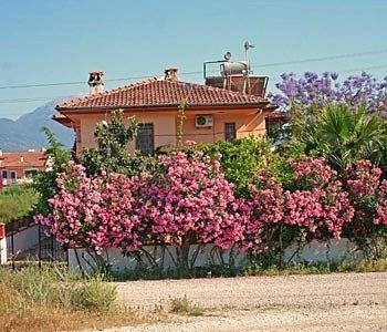 Truva 3* Fethiye