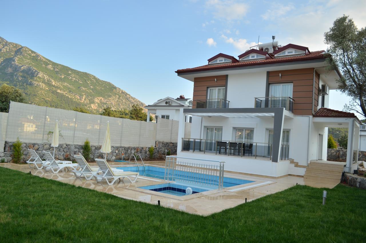 New Age Lilya Hisar *