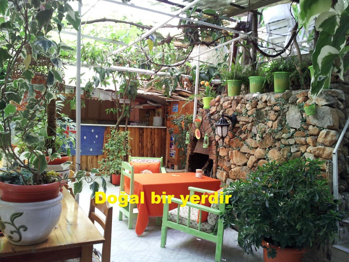 Hostel Ferah Monica's Place *