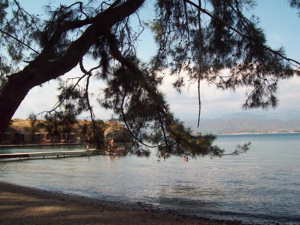 Vanilla Fethiye